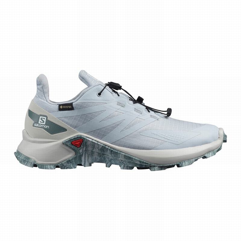 SALOMON SUPERCROSS BLAST GTX W Philippines - Women's Trail Running Shoes - Grey | 049162-YNZ